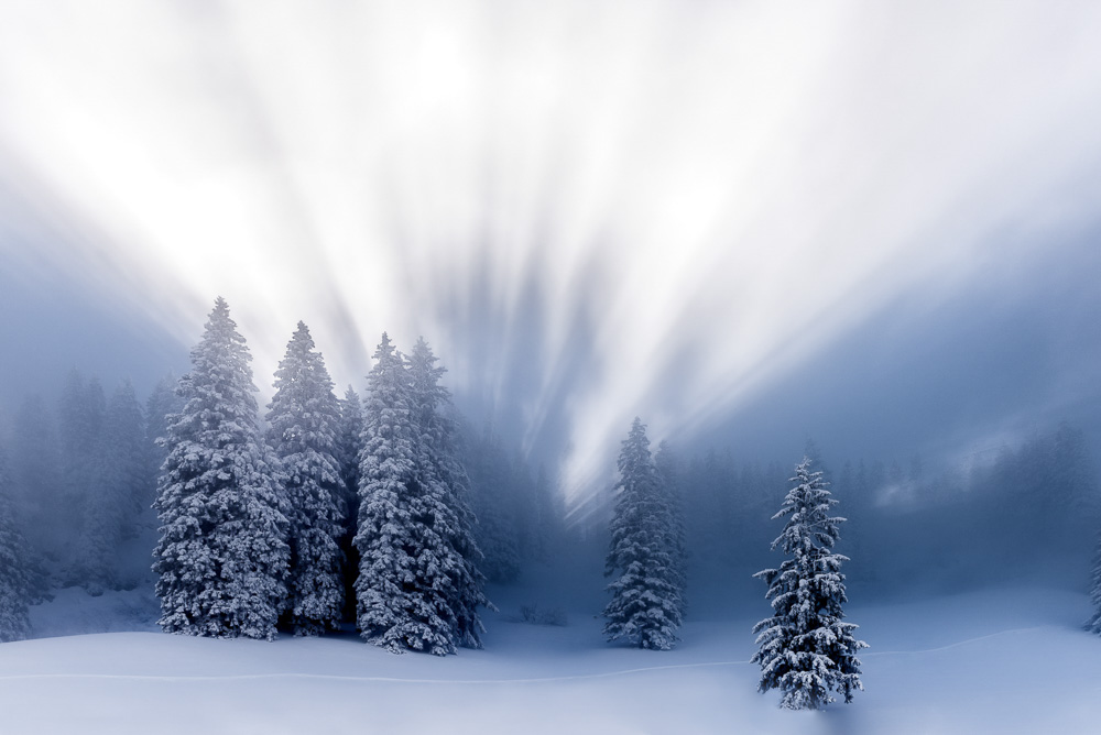 1. Platz Robert Seitz